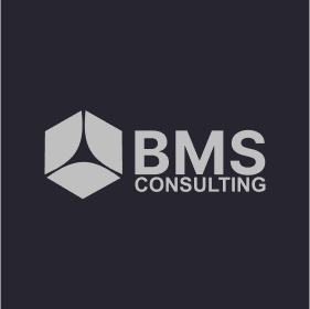 Venturelabs Partner: BMS-CONSULTING